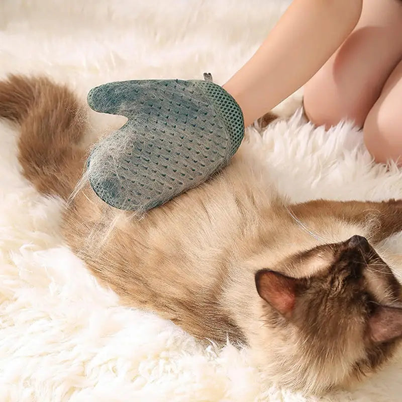 Double-Sided Pet Grooming Glove