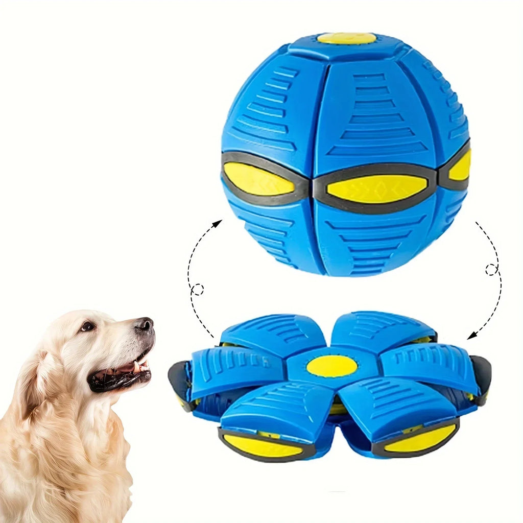 Flying Saucer Bouncing Dog Toy