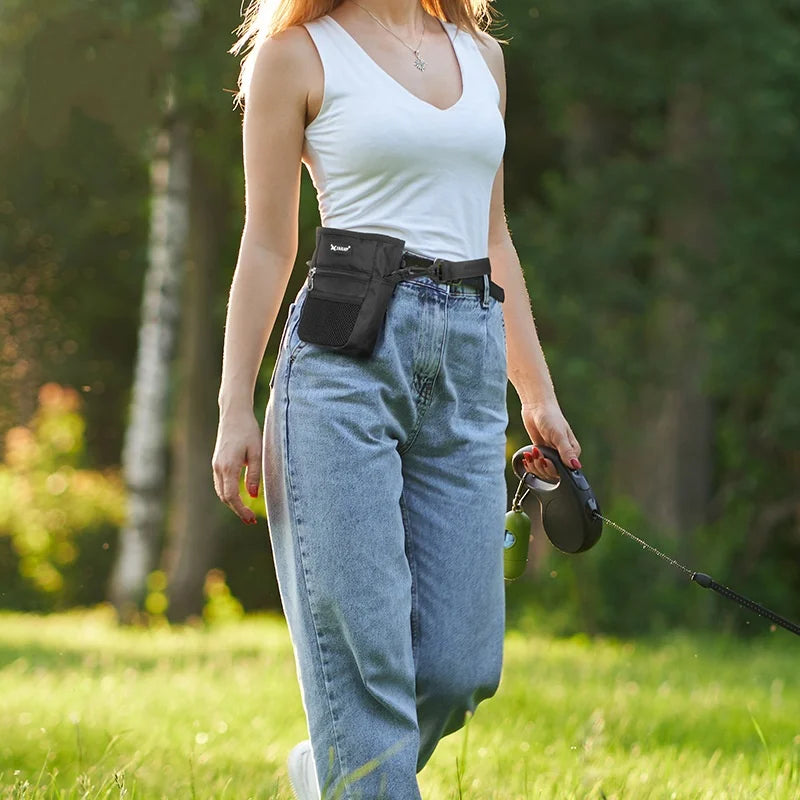 Portable Dog Training Treat Bag