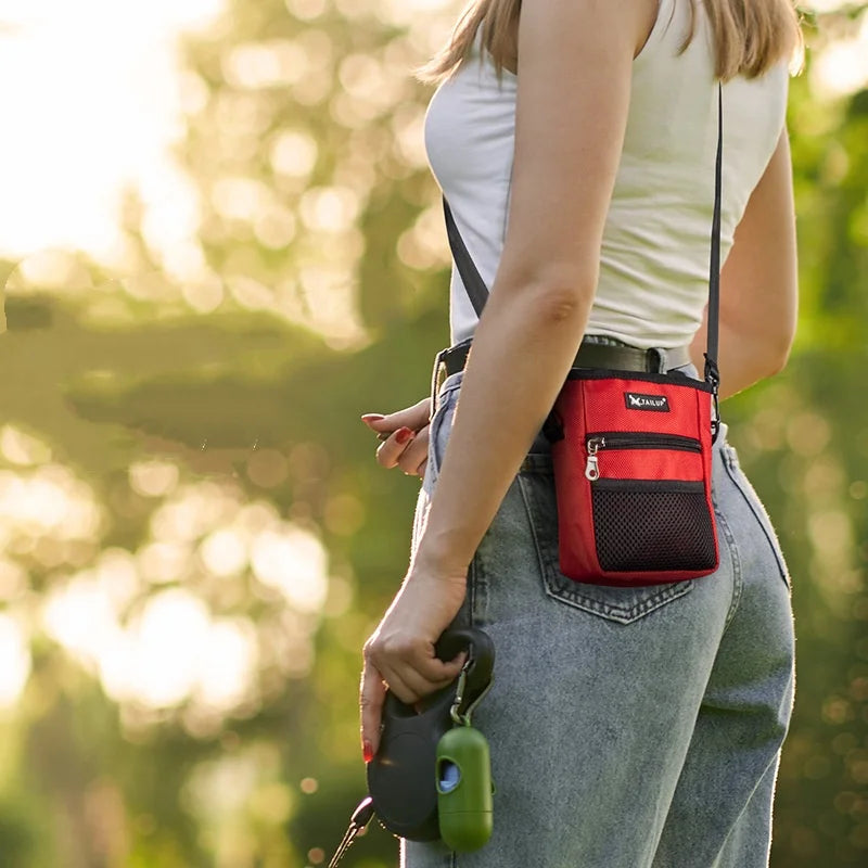 Portable Dog Training Treat Bag