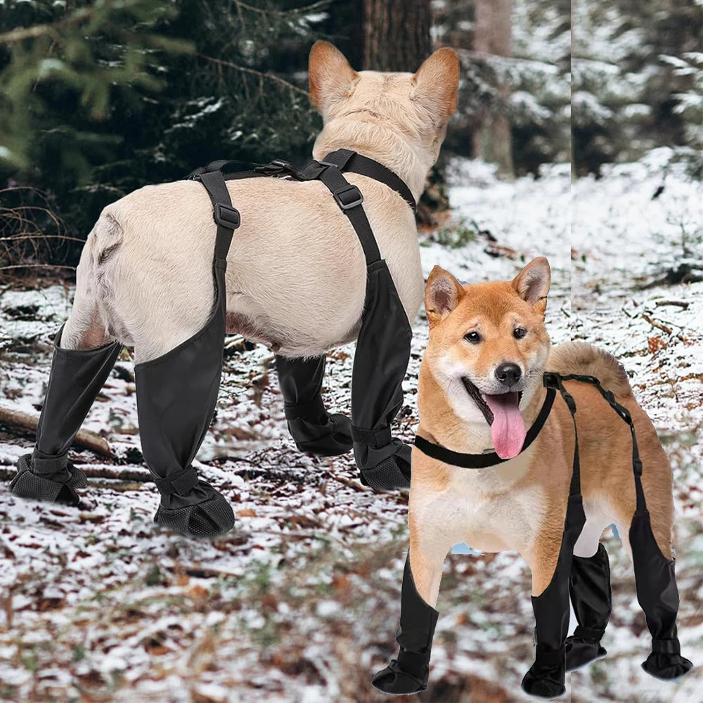 Anti-Slip Waterproof Dog Shoes – Paw Protection