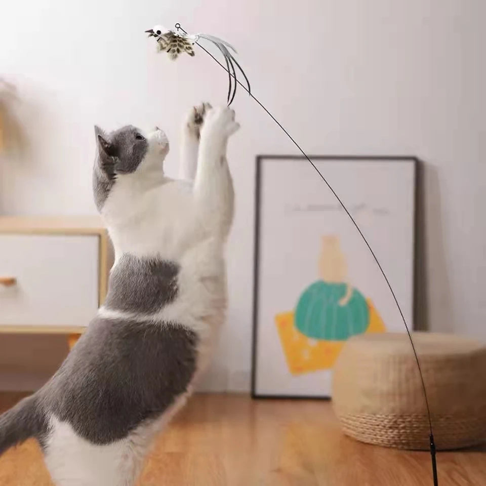 Feather Bird Wand Toy for Cats