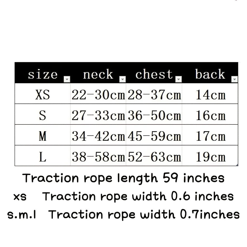 Breathable Dog Harness & Leash Set