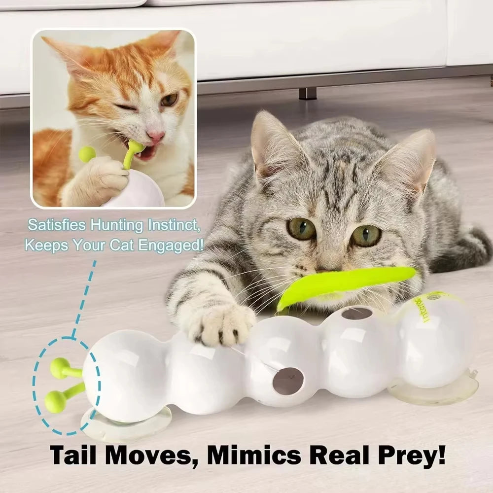 Motion-Activated Caterpillar Cat Toy