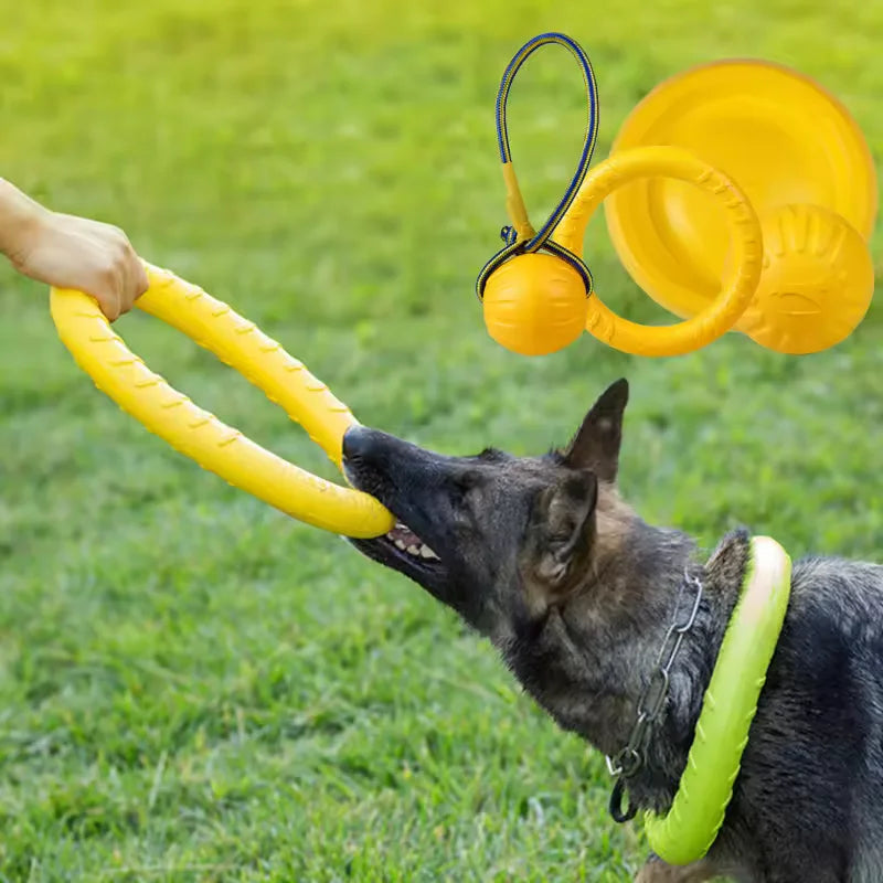 Bite-Resistant Dog Frisbee Toy