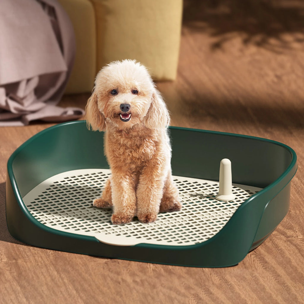 Portable Dog Potty Training Tray