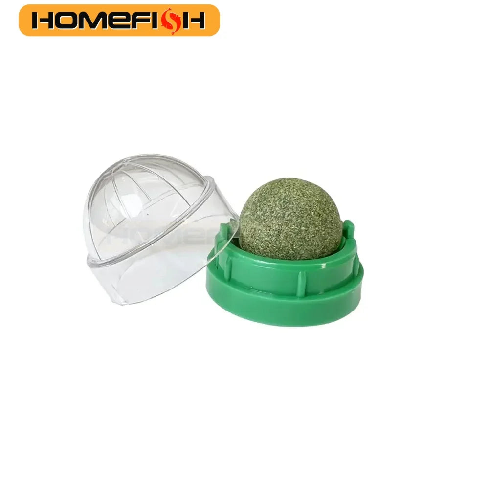 Wall-Mounted Catnip Ball Toy