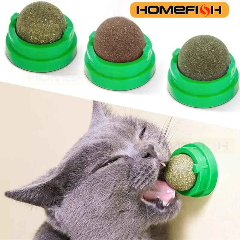 Wall-Mounted Catnip Ball Toy