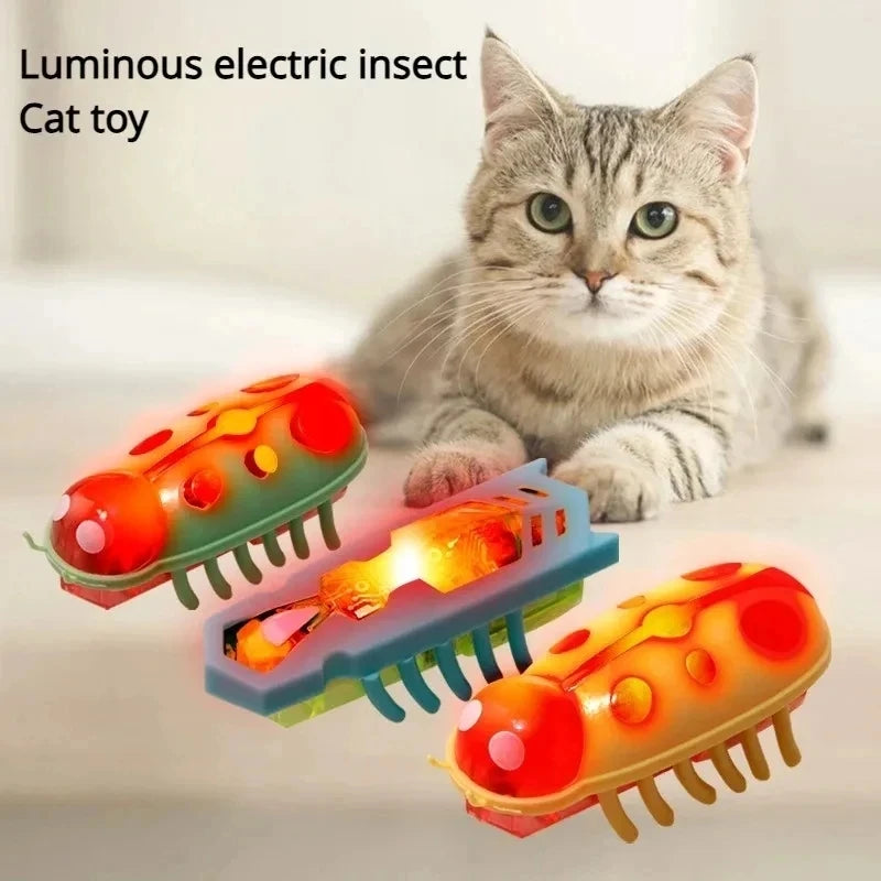 Electric Bug Cat Toy with Catnip