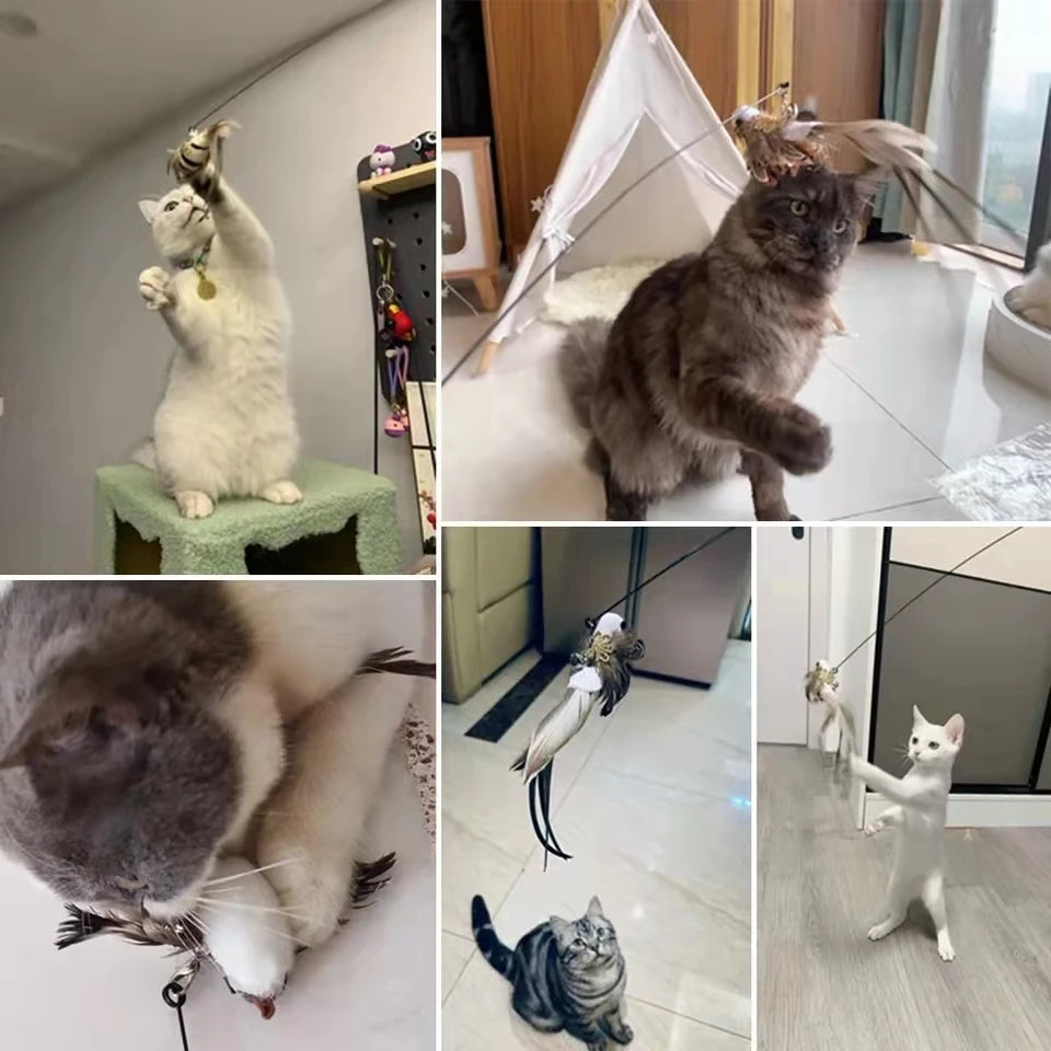 Feather Bird Wand Toy for Cats