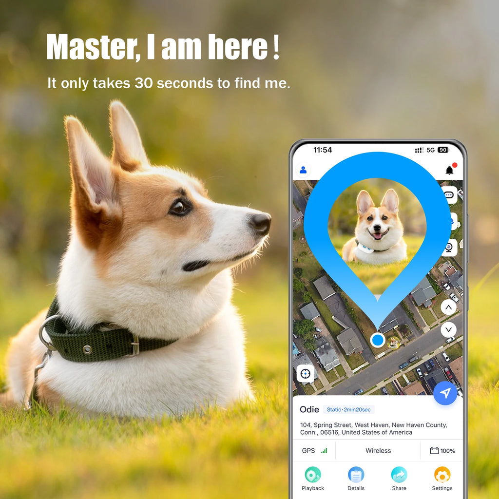 Waterproof GPS Pet Tracker for Dogs & Cats