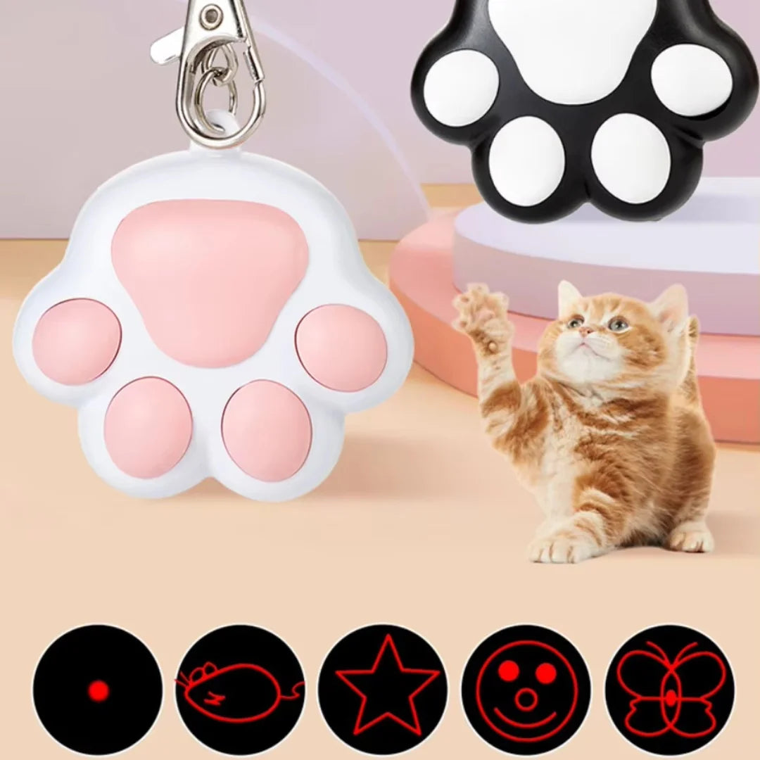4-in-1 Rechargeable Laser Teaser for Cats