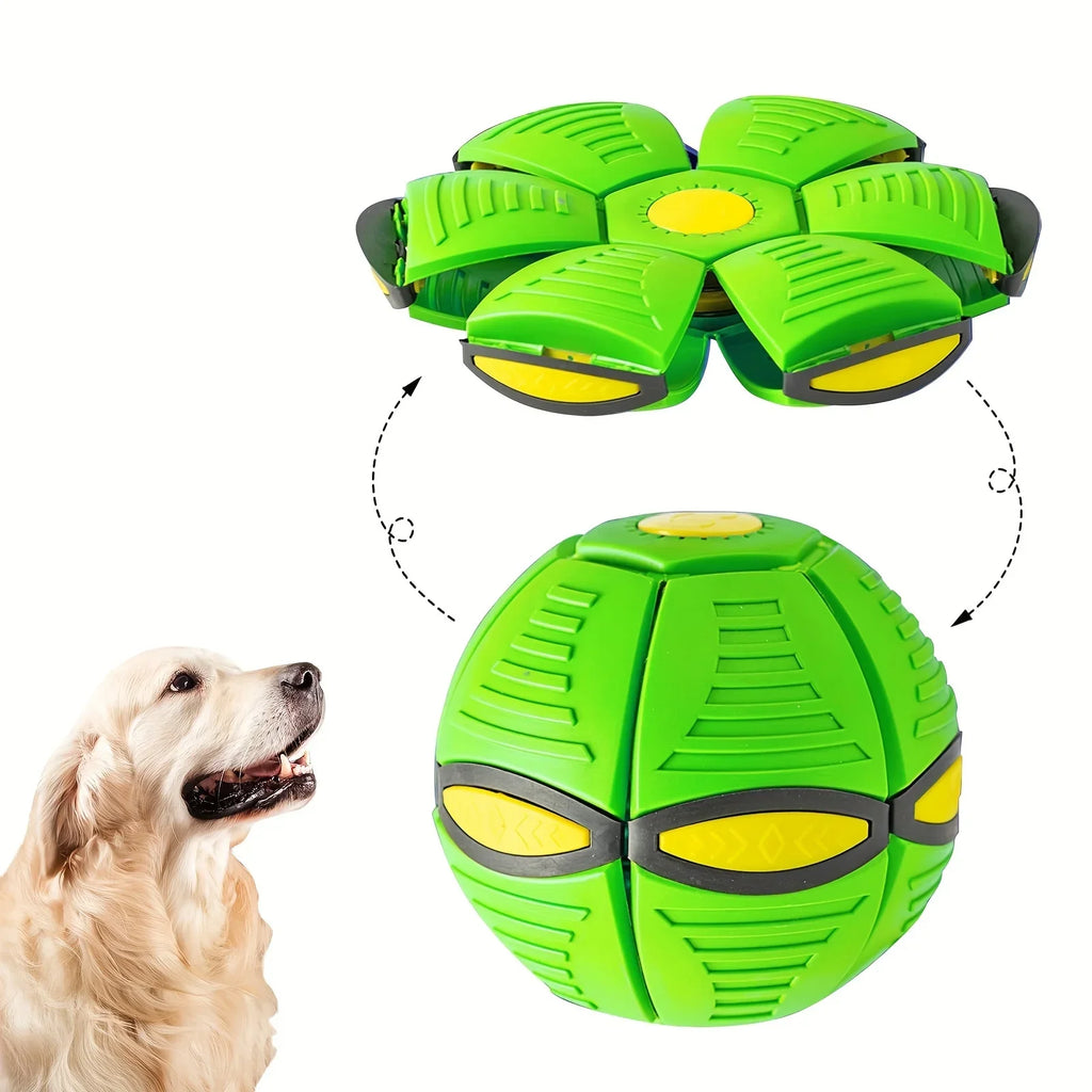 Flying Saucer Bouncing Dog Toy