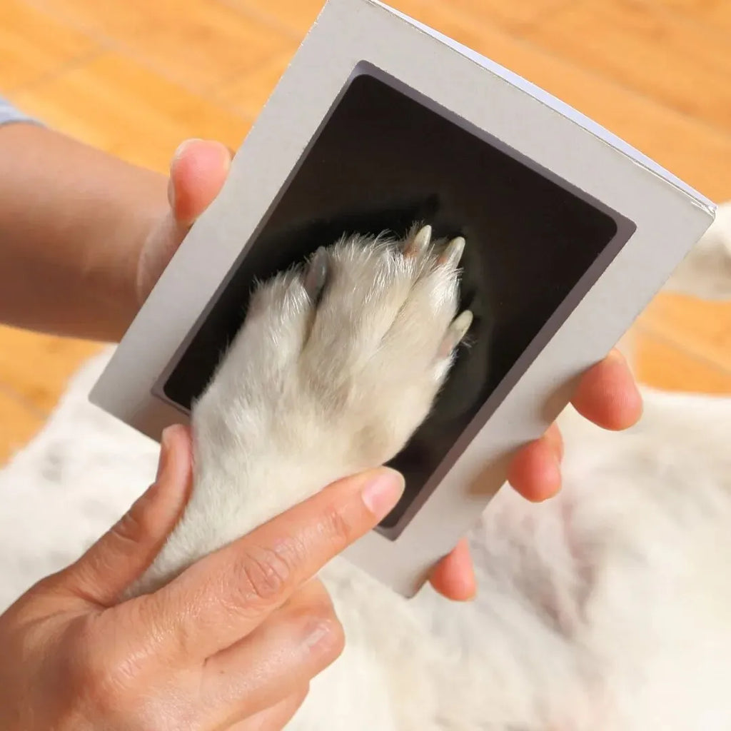 Clean Touch Ink Pad for Pet Paw Prints