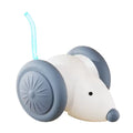 Rechargeable Interactive Mouse Toy for Cats