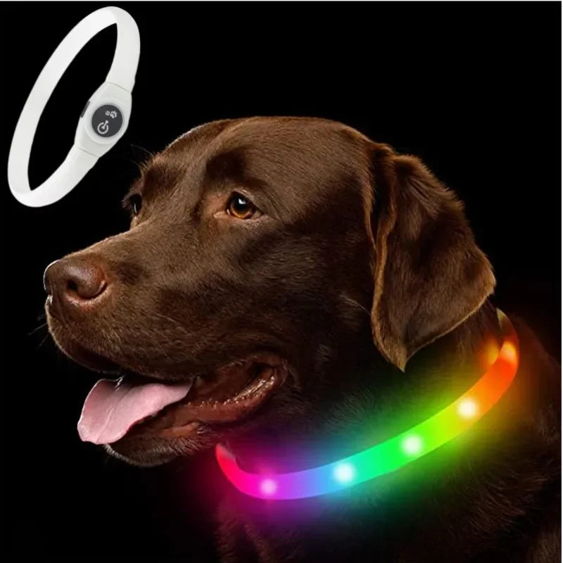 USB LED Light-Up Dog Collar