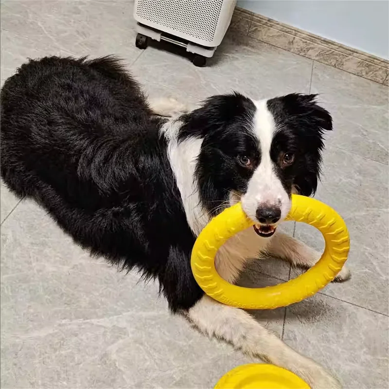 Bite-Resistant Dog Frisbee Toy