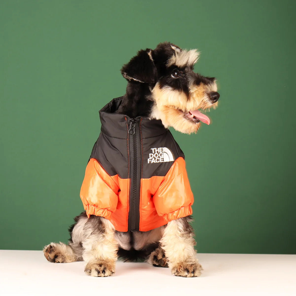 Windproof Winter Dog Jacket – Warm & Reflective