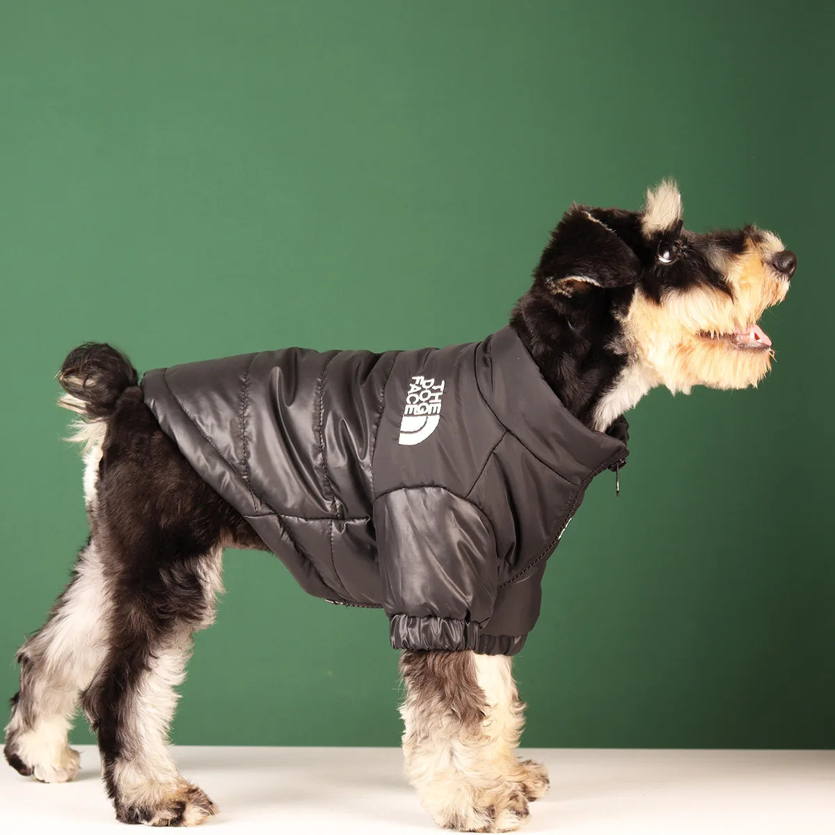 Windproof Winter Dog Jacket – Warm & Reflective
