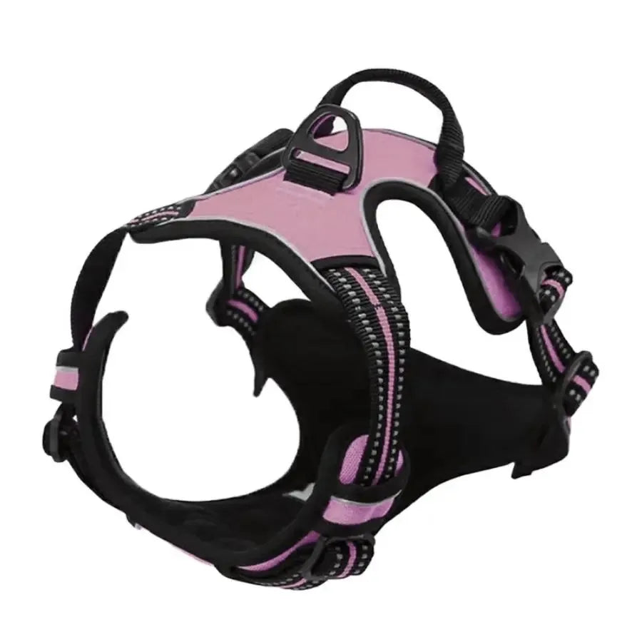 Dog Collar, Harness & Leash Set