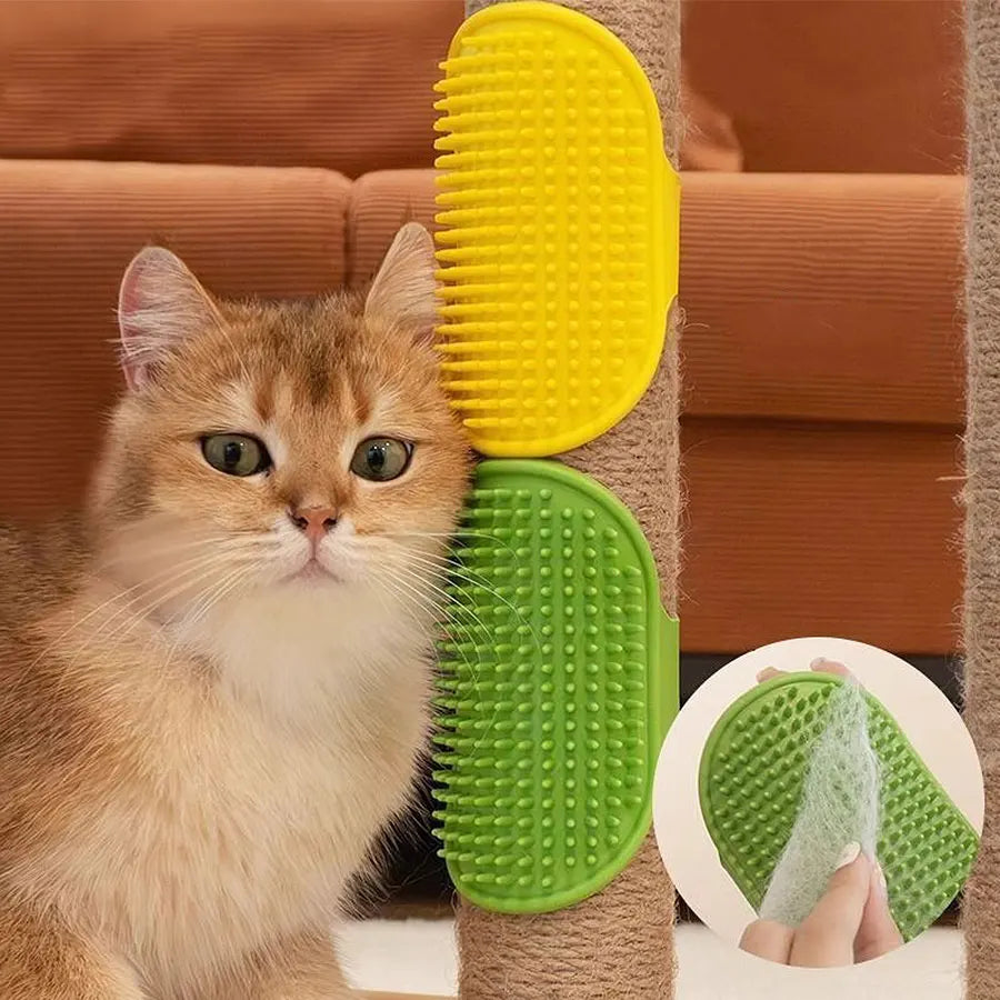 Cat Self-Grooming Scratcher Brush