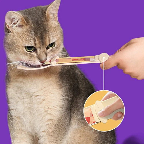 Cat Treat Squeeze Spoon (2-Pack)