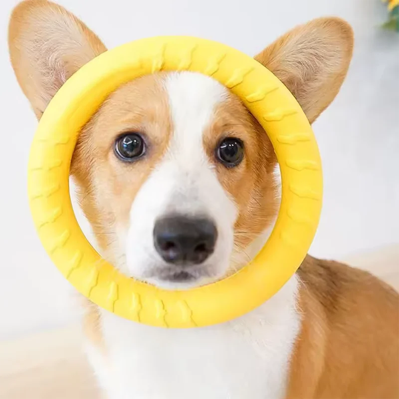 Bite-Resistant Dog Frisbee Toy