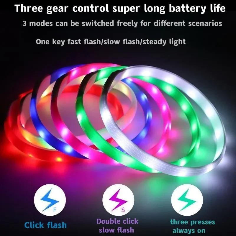 USB LED Light-Up Dog Collar
