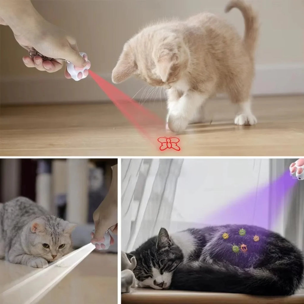 4-in-1 Rechargeable Laser Teaser for Cats