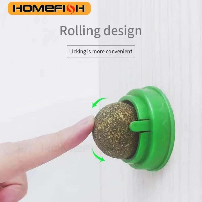 Wall-Mounted Catnip Ball Toy