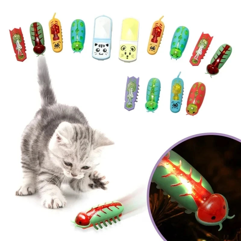 Electric Bug Cat Toy with Catnip