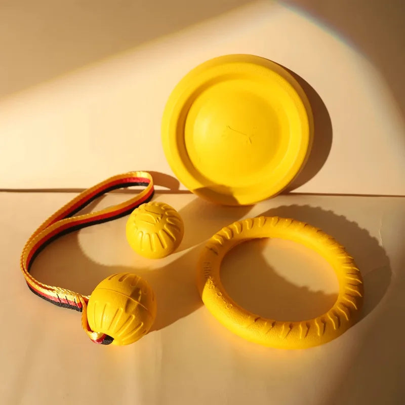 Bite-Resistant Dog Frisbee Toy