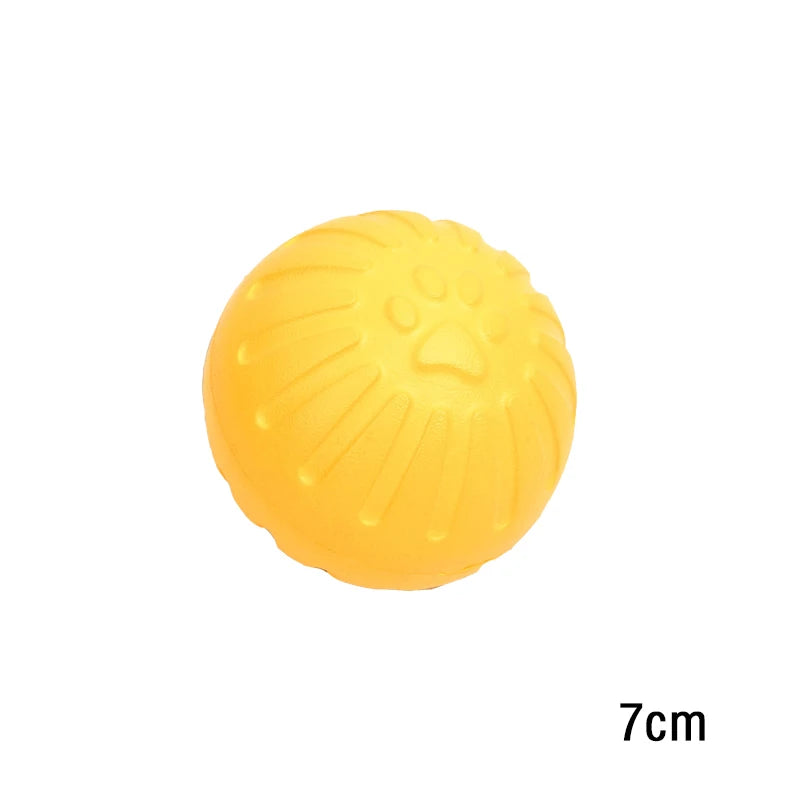 Bite-Resistant Dog Frisbee Toy