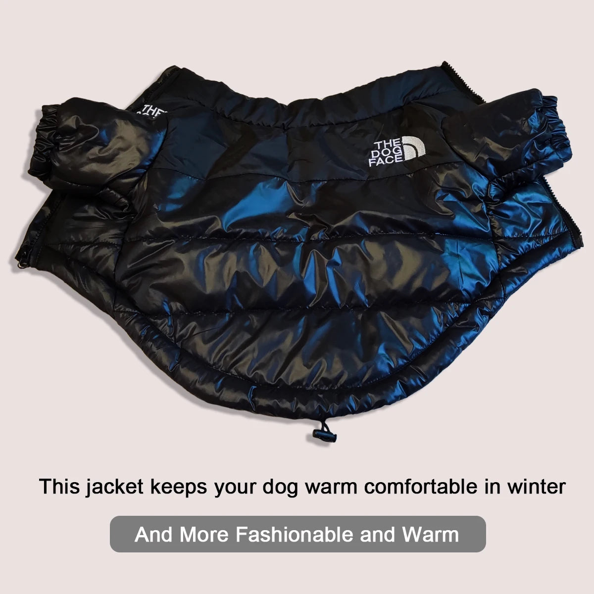 Windproof Winter Dog Jacket – Warm & Reflective