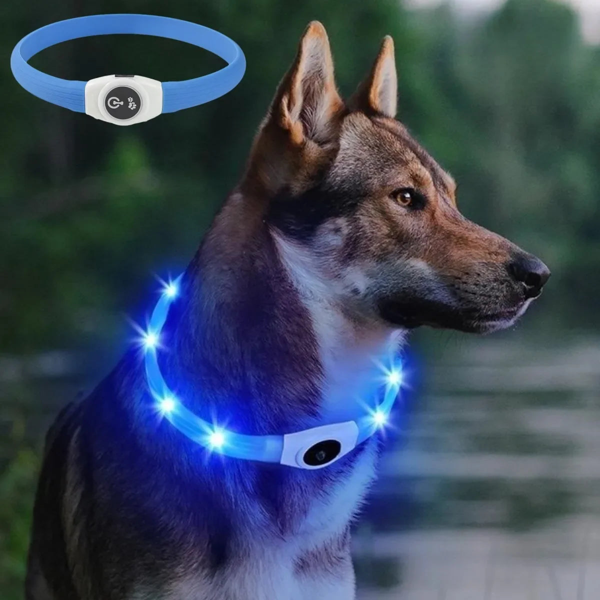 USB LED Light-Up Dog Collar