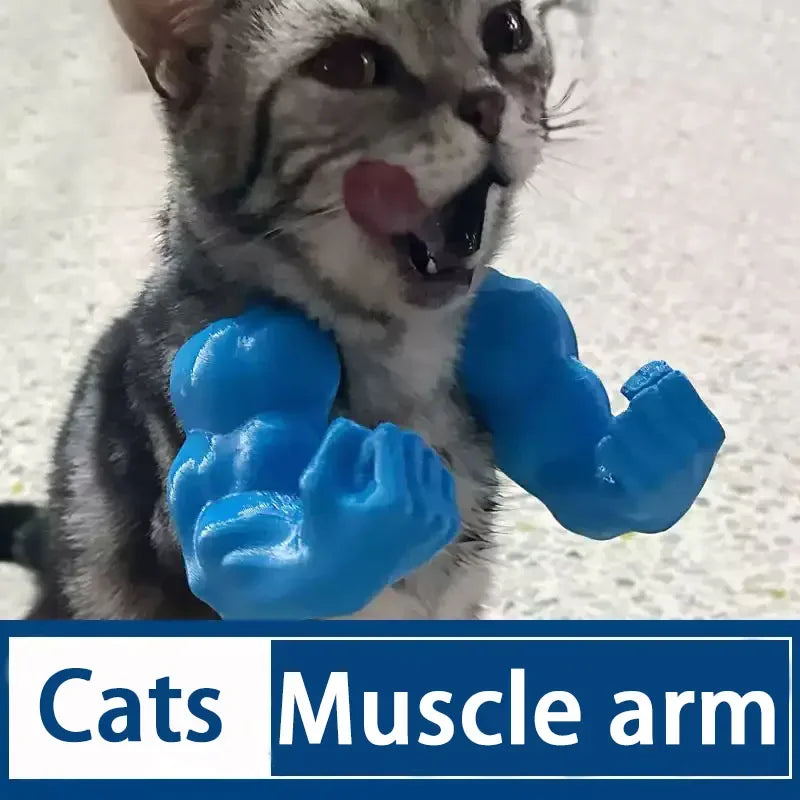 Funny Cat Muscle Arm Pendant Toy