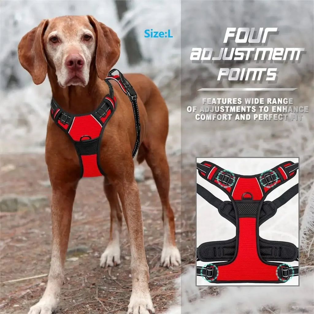 Dog Collar, Harness & Leash Set